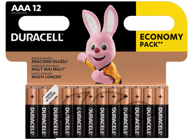 Alkaline Batteries AAA Duracell Basic MN2400 AAA - 12 pcs
