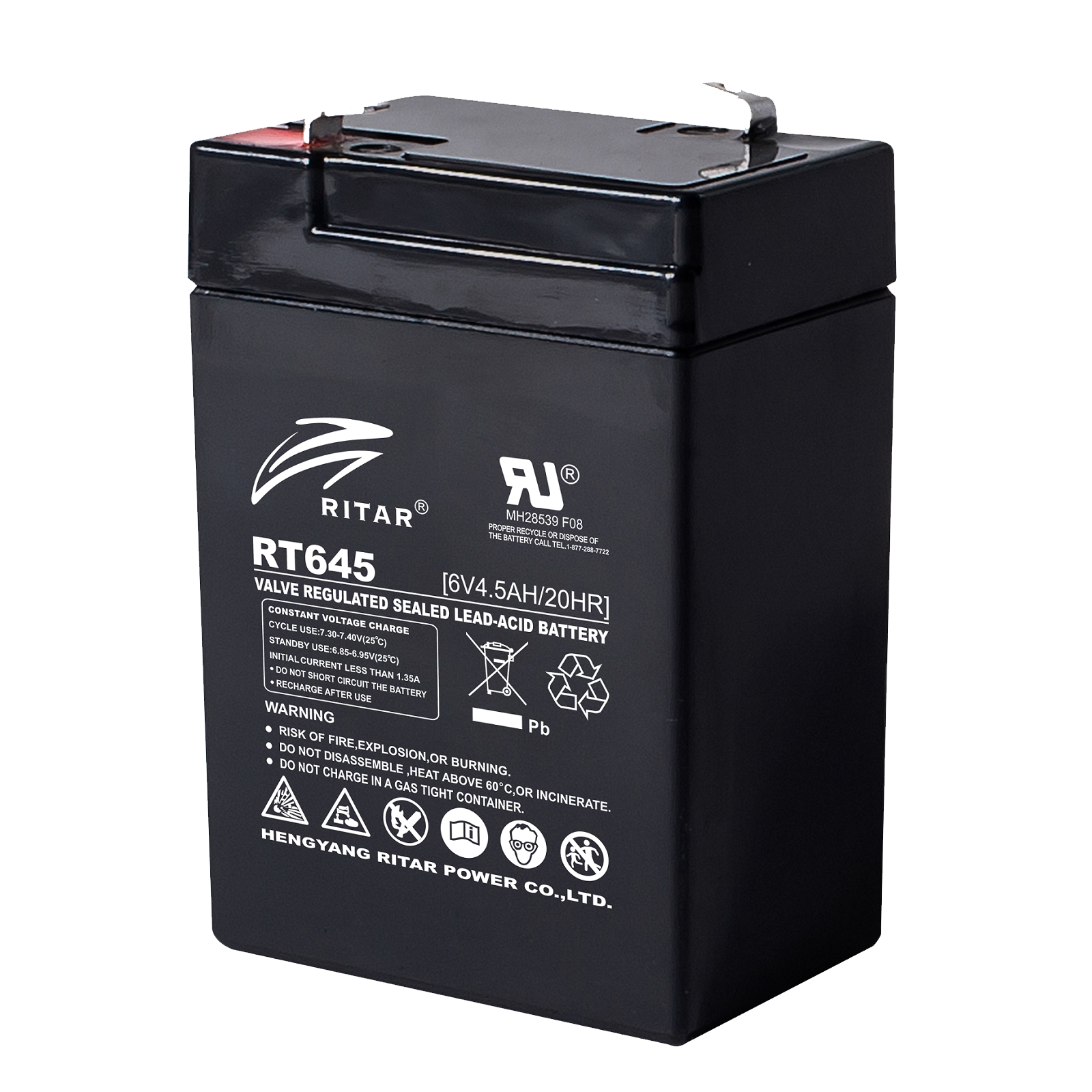 Lead-acid Battery AGM 6V 4.5 AH - RITAR